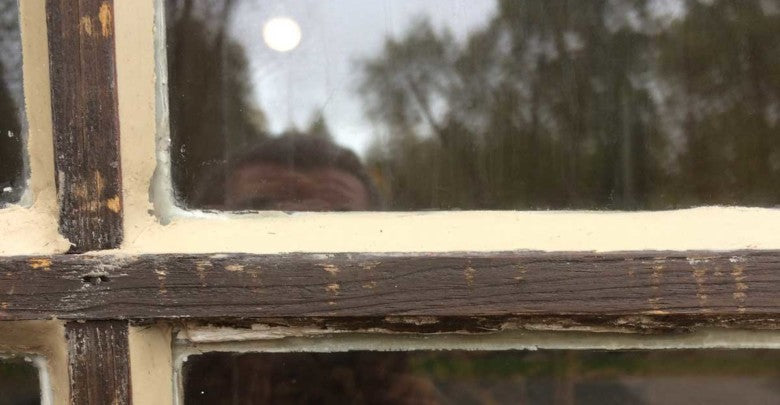 Cut360 Leinölkitt Einfachverglasung an Fenstern mit Holz- und Metallrahmen, Fensterkitt zur Abdichtung - 1 kg