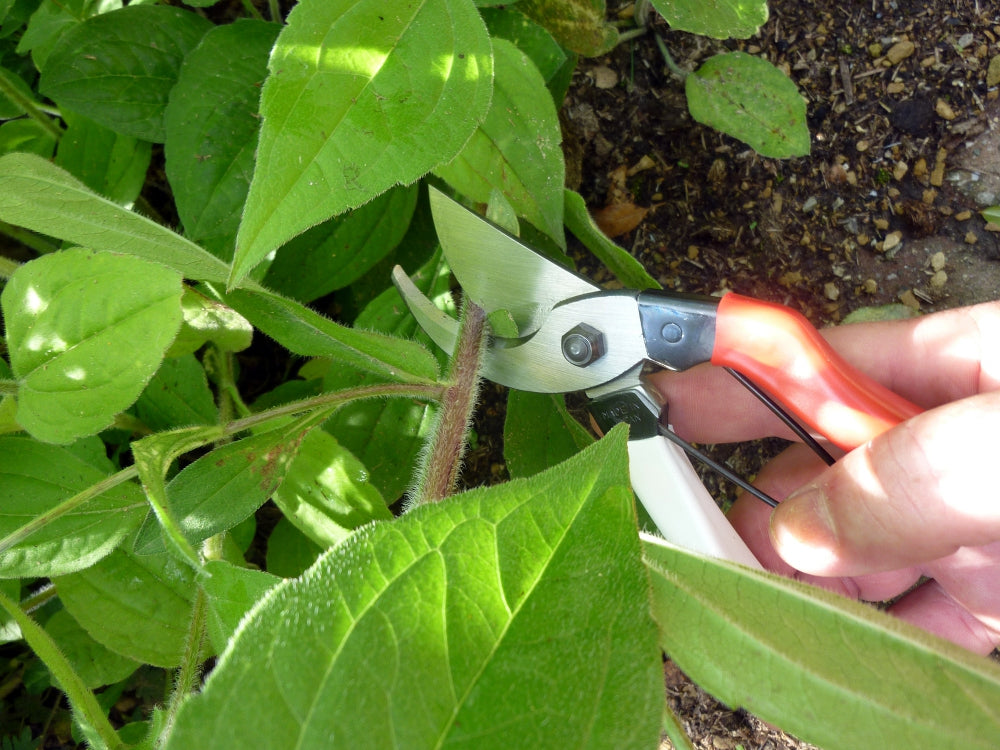 Okatsune 101-Okatsune 101 Gartenschere für kleine Hände – Japanische Gartenschere mit ultra-scharfen Klingen, robustem Design & präzisem Schnitt für Blumen, Äste, Reben & Obstbäume