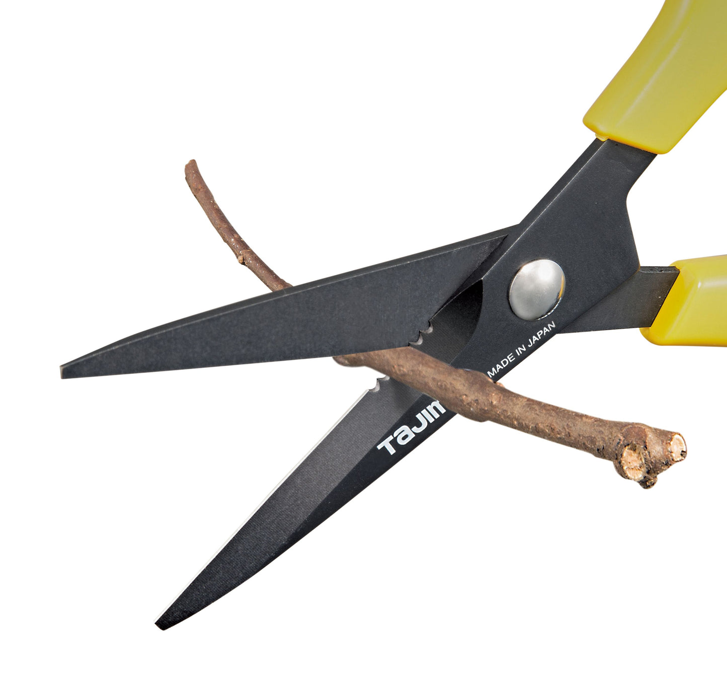 Tajima Gartenschere fuer praezise Schnitte 175mm, TAJ-12057