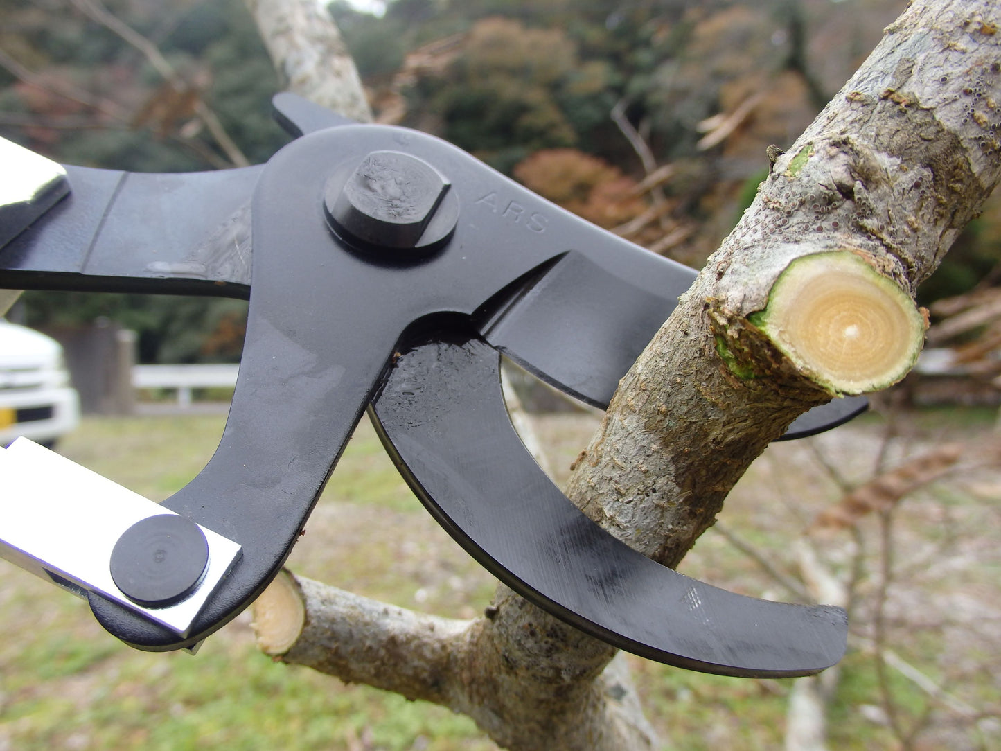 ARS Astschere Gartenschere Hochastschere Y-Schere 185-1.8 Alu | Länge 180cm | Gewicht 1700 Gr | Schneidkopf ist um 180° drehbar | Äste mit  Durchmesser bis zu 40 mm
