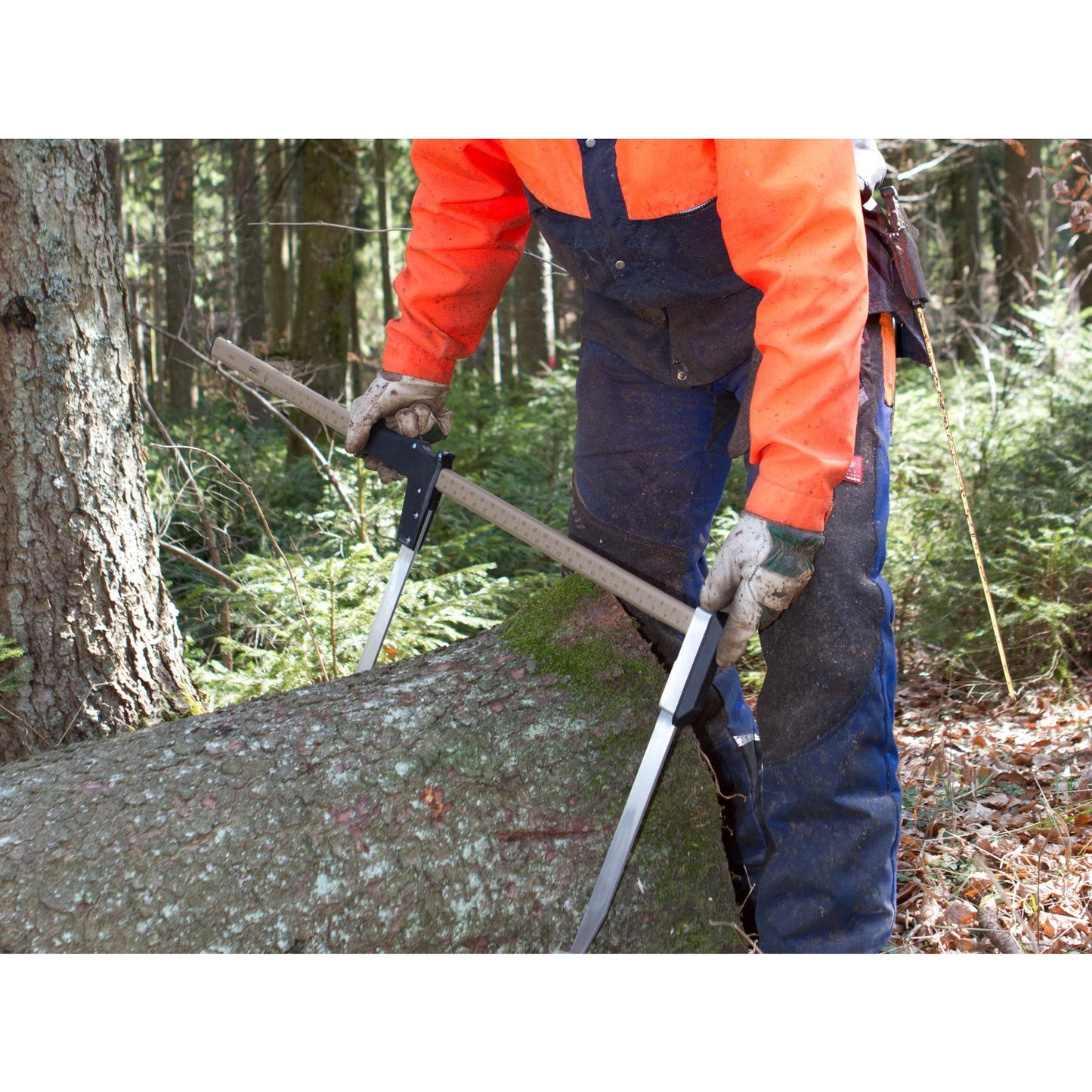 NESTLE Messkluppe Waldmeister 40 cm