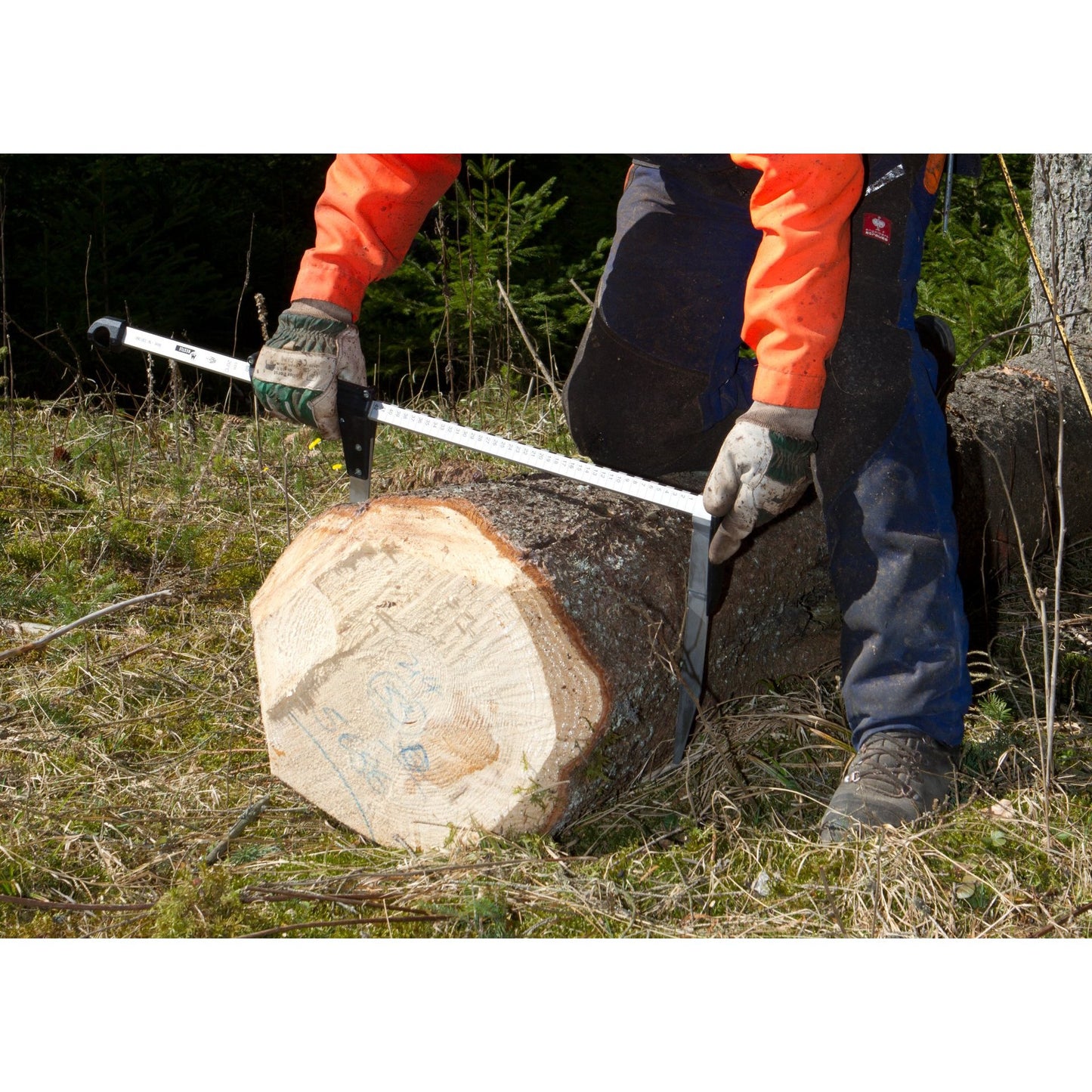 NESTLE Messkluppe Waldfreund 100 cm