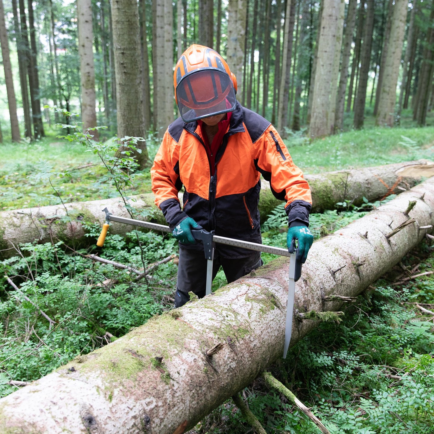 NESTLE Messkluppe Specht 80 cm, konformitätsbewertet D1