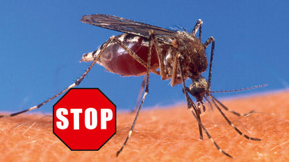 Beko CareLine Insekten-STOP 100 ml - Insektenspray Schutz vor Stechmücken und Zecken