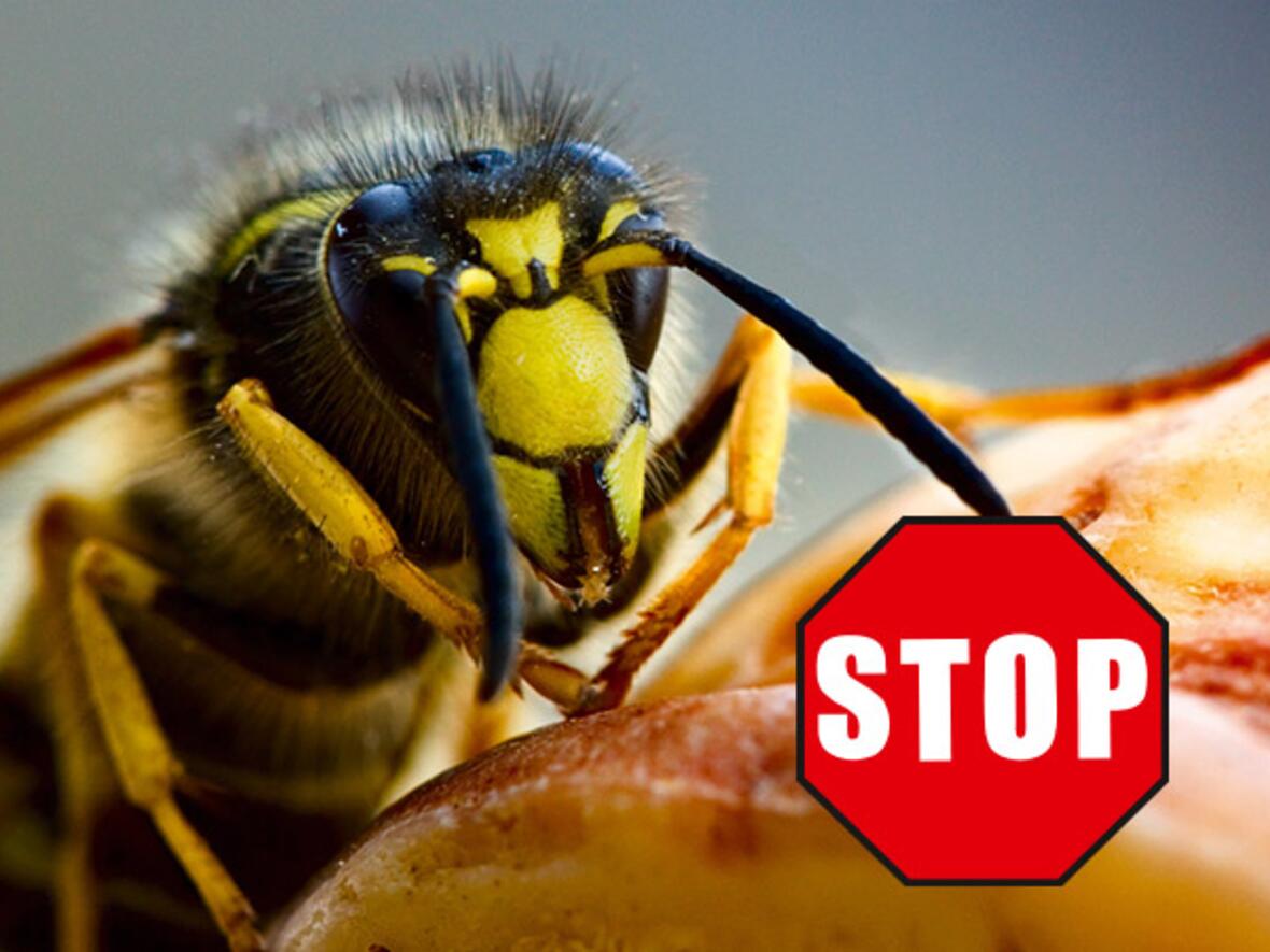Beko CareLine Insekten-STOP 100 ml - Insektenspray Schutz vor Stechmücken und Zecken