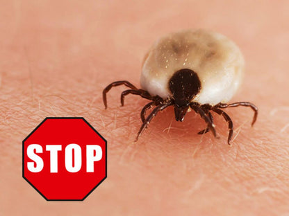 Beko CareLine Insekten-STOP 100 ml - Insektenspray Schutz vor Stechmücken und Zecken