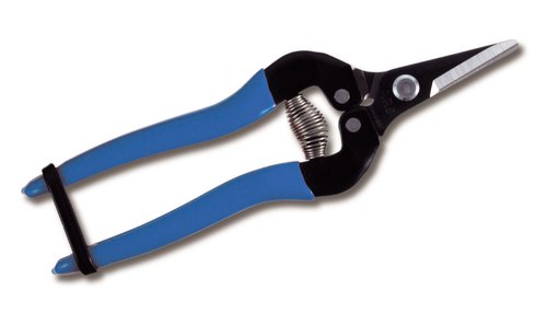 ARS Floristen/Ernteschere 300SS-BL