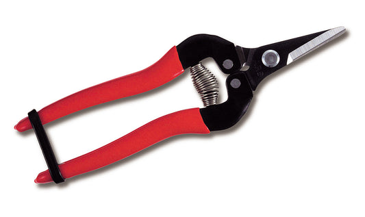 ARS Traubenschere Ernteschere Floristenschere 300SS