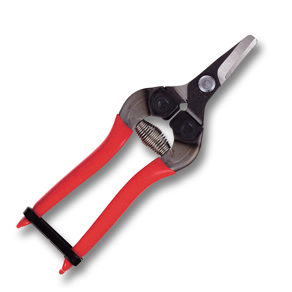 ARS 310 Obstschere rot | für das Schneiden von Obst, Gemüse und anderen Ernten entwickelt | 90 gramm | Länge 160mm | Hände ermüden nicht