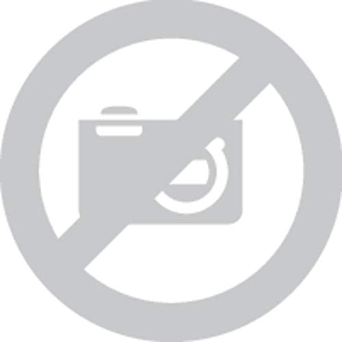 Pressol Kombitrichter-Stahlblech verzinkt, FLMA-Ø 200 mm-3,2 l-Sieb - HANDMADE