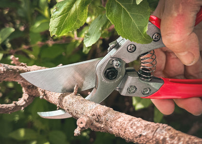 ARS Profi-Gartenschere VS-8XZ |  rasiermesserscharfer Klinge | Einhandverriegelung | gummierte Griffe | Klinge austauschbar