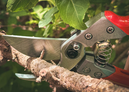 ARS Profi Gartenschere Amboß VA-8Z | Profi-Pflanzenschere für Astdurchmesser bis Ø 25 mm, Kleine Gartenschere perfekt ausbalanciert inkl. Einhandverriegelung