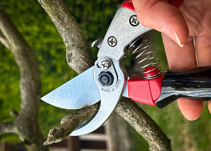 ARS Reben- & Gartenschere VS-8XR mit ergonomischem Rollgriff – Kleine Bypass-Schere für präzise Schnitte bis Ø 22 mm – Profi-Schere für Garten, Reben, Rosen & mehr – Handlich & langlebig