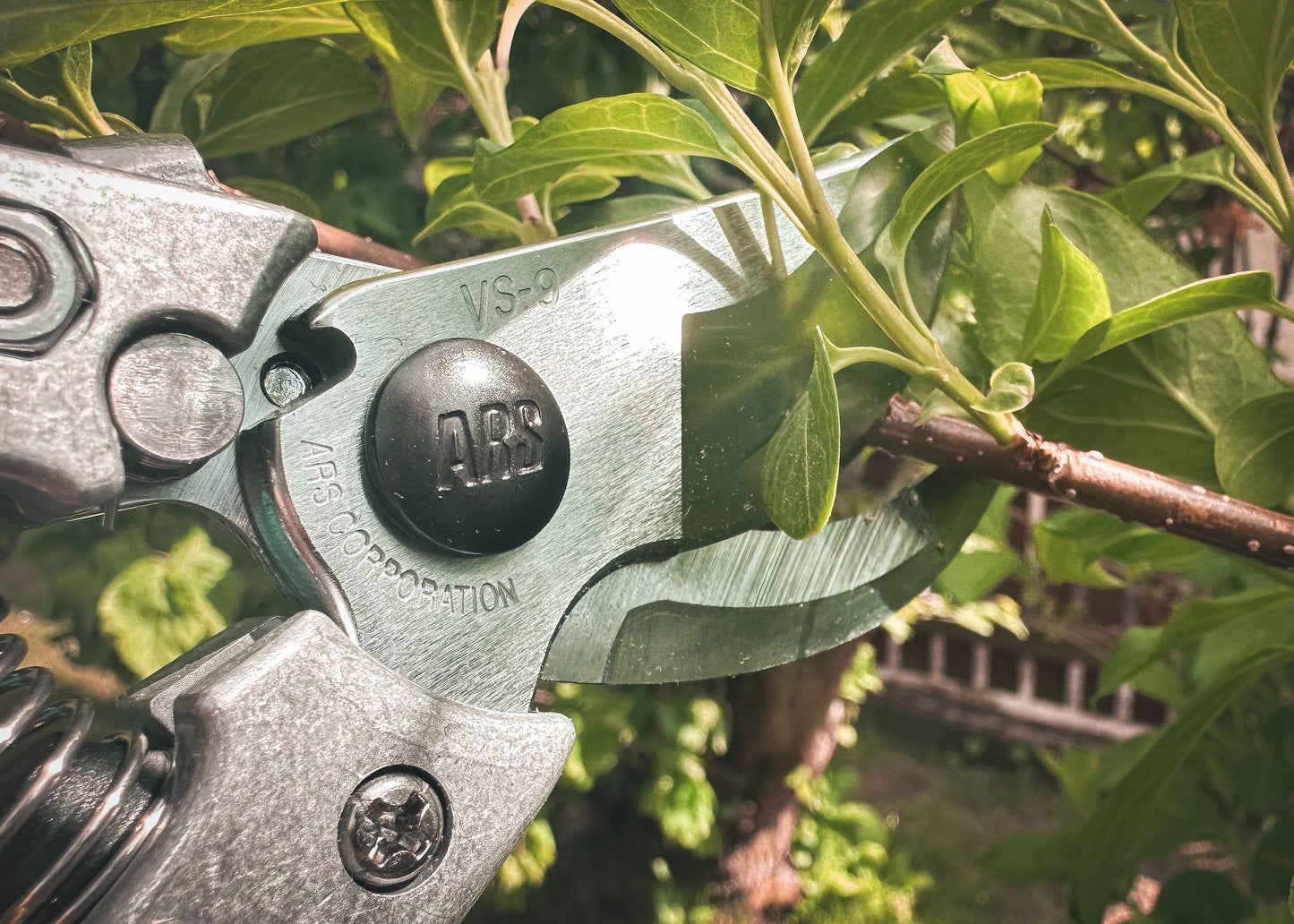 ARS Reben- & Gartenschere VS-8XR mit ergonomischem Rollgriff – Kleine Bypass-Schere für präzise Schnitte bis Ø 22 mm – Profi-Schere für Garten, Reben, Rosen & mehr – Handlich & langlebig