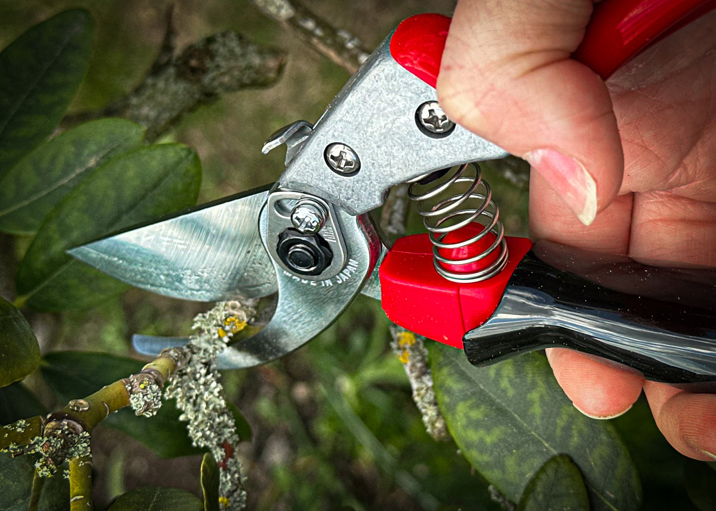 ARS Reben- & Gartenschere VS-8XR mit ergonomischem Rollgriff – Kleine Bypass-Schere für präzise Schnitte bis Ø 22 mm – Profi-Schere für Garten, Reben, Rosen & mehr – Handlich & langlebig