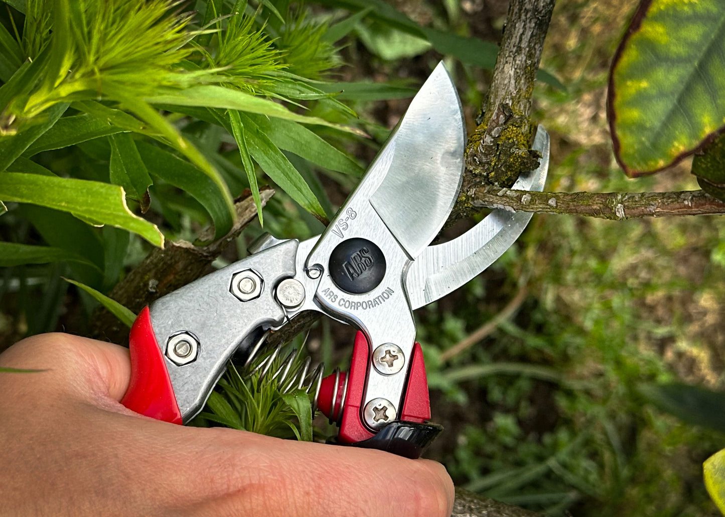 ARS Reben- & Gartenschere VS-8XR mit ergonomischem Rollgriff – Kleine Bypass-Schere für präzise Schnitte bis Ø 22 mm – Profi-Schere für Garten, Reben, Rosen & mehr – Handlich & langlebig