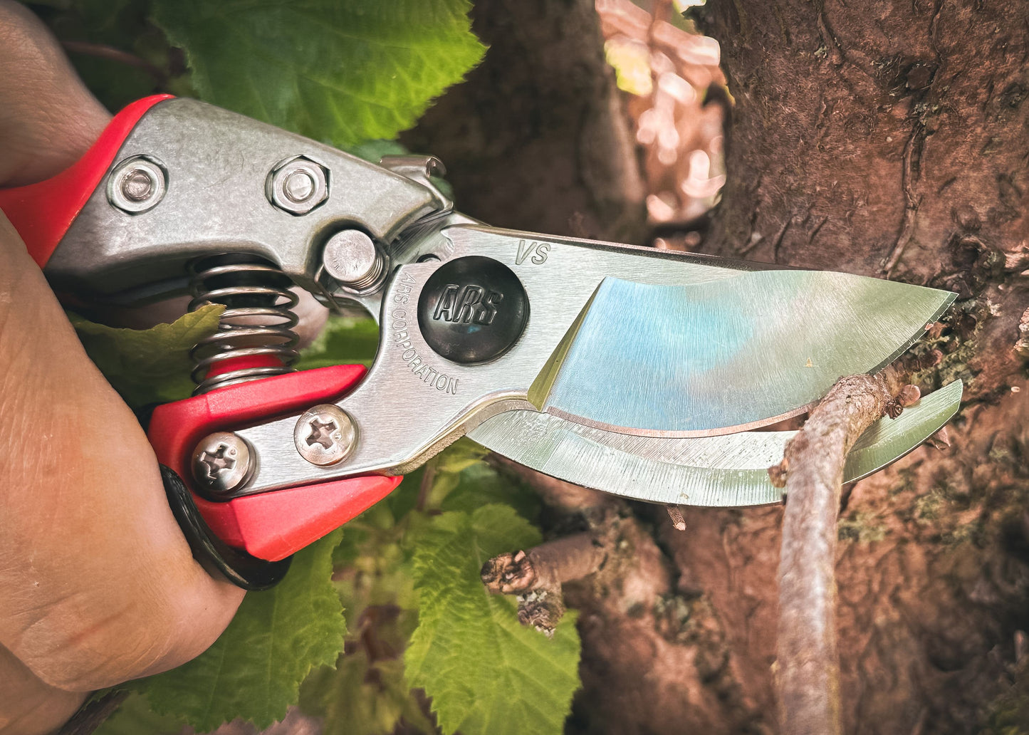 ARS Rollgriff Reben/Gartenschere VS-9XR | hochwertige und robuste Schere |  perfekt ausbalanciert und bietet eine hervorragende Schnittleistung