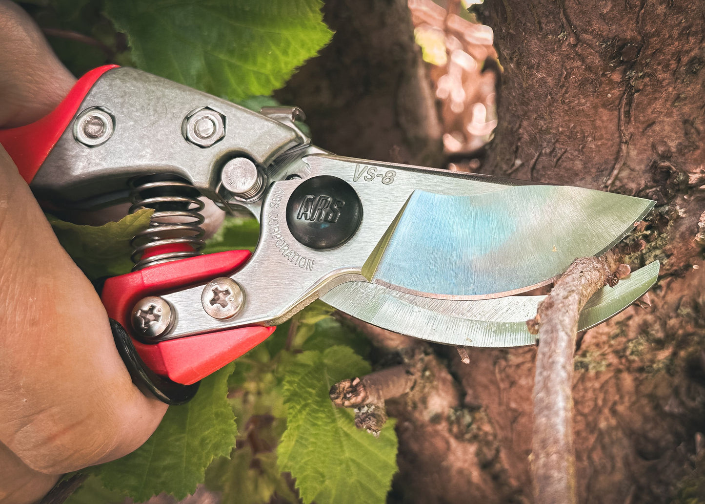 ARS Rollgriff Reben/Gartenschere VS-9XR | hochwertige und robuste Schere |  perfekt ausbalanciert und bietet eine hervorragende Schnittleistung