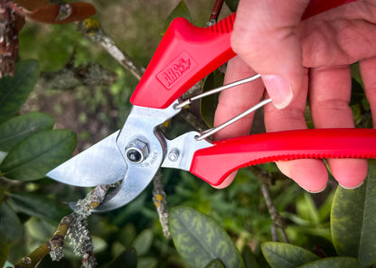 ARS Gartenschere 120DX