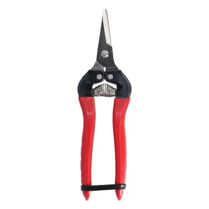Cut360 Ernteschere, filigrane Obstschere, Gartenschere mit runder Klinge, Minischere geeignet als Bonsaischere