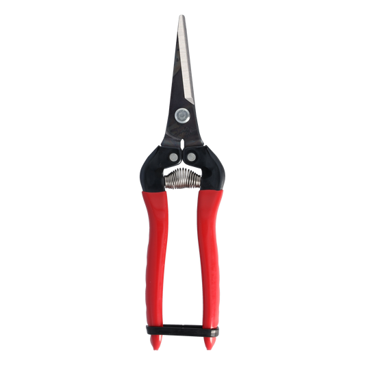 Cut360 Ernteschere, filigrane Obstschere, Gartenschere mit spitzer Klinge, Minischere geeignet als Bonsaischere