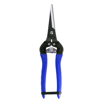 Cut360 Ernteschere, filigrane Obstschere, Gartenschere mit spitzer Klinge, Minischere geeignet als Bonsaischere