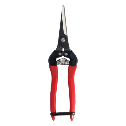 Cut360 Ernteschere, filigrane Obstschere, Gartenschere mit spitzer Klinge, Minischere geeignet als Bonsaischere