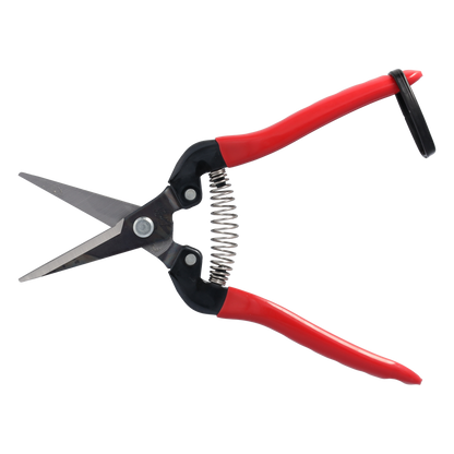 Cut360 Ernteschere, filigrane Obstschere, Gartenschere mit spitzer Klinge, Minischere geeignet als Bonsaischere