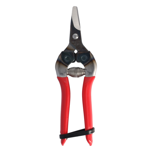 Cut360 Ernteschere, filigrane Obstschere, Gartenschere mit gebogener Klinge, Minischere geeignet als Bonsaischere