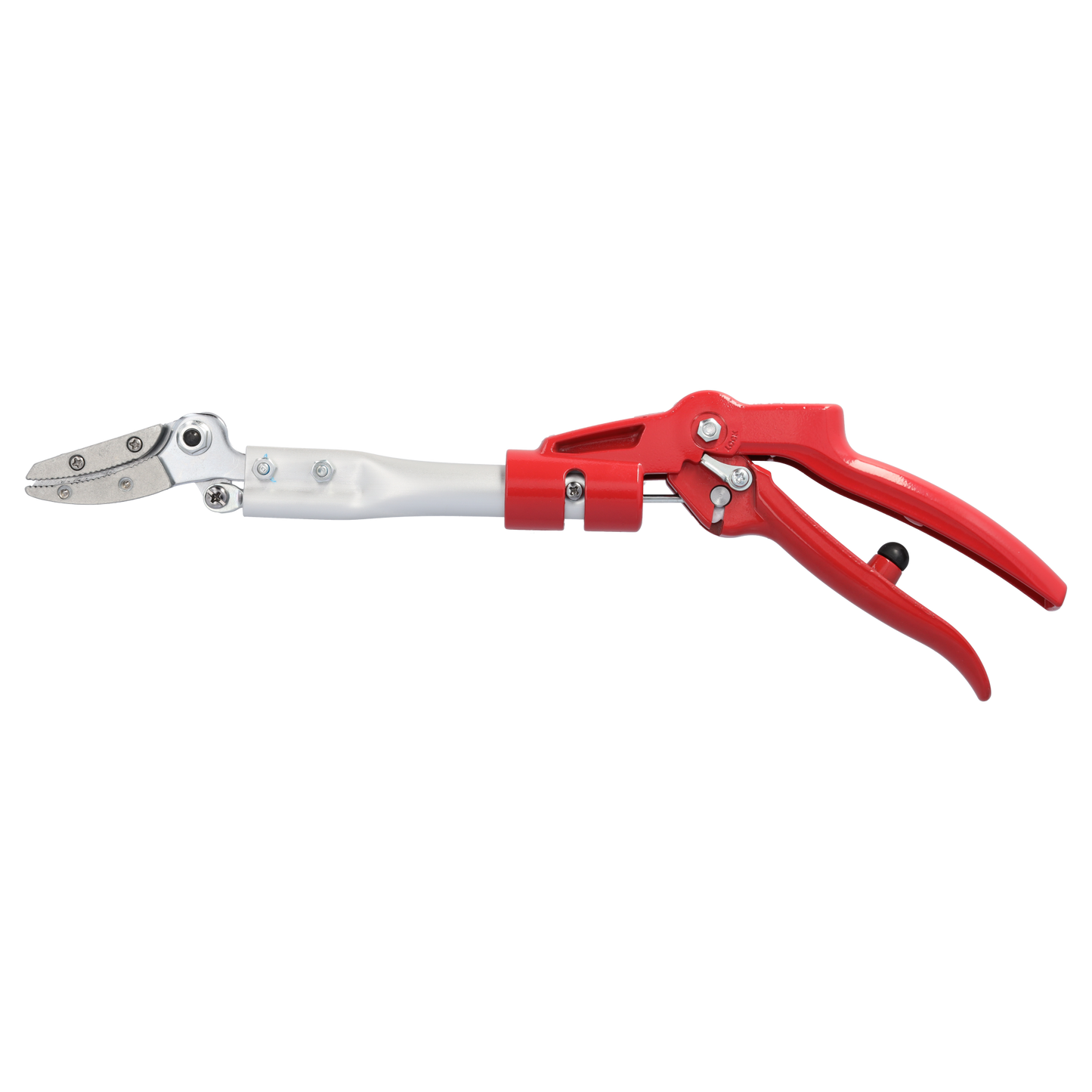ARS Rosen-Präsentierschere 160R-0.35 | zum schneiden von Rosen und dornhaltige Gewächsen | Länge 35cm | superscharfe Schermesser plus  Greifer