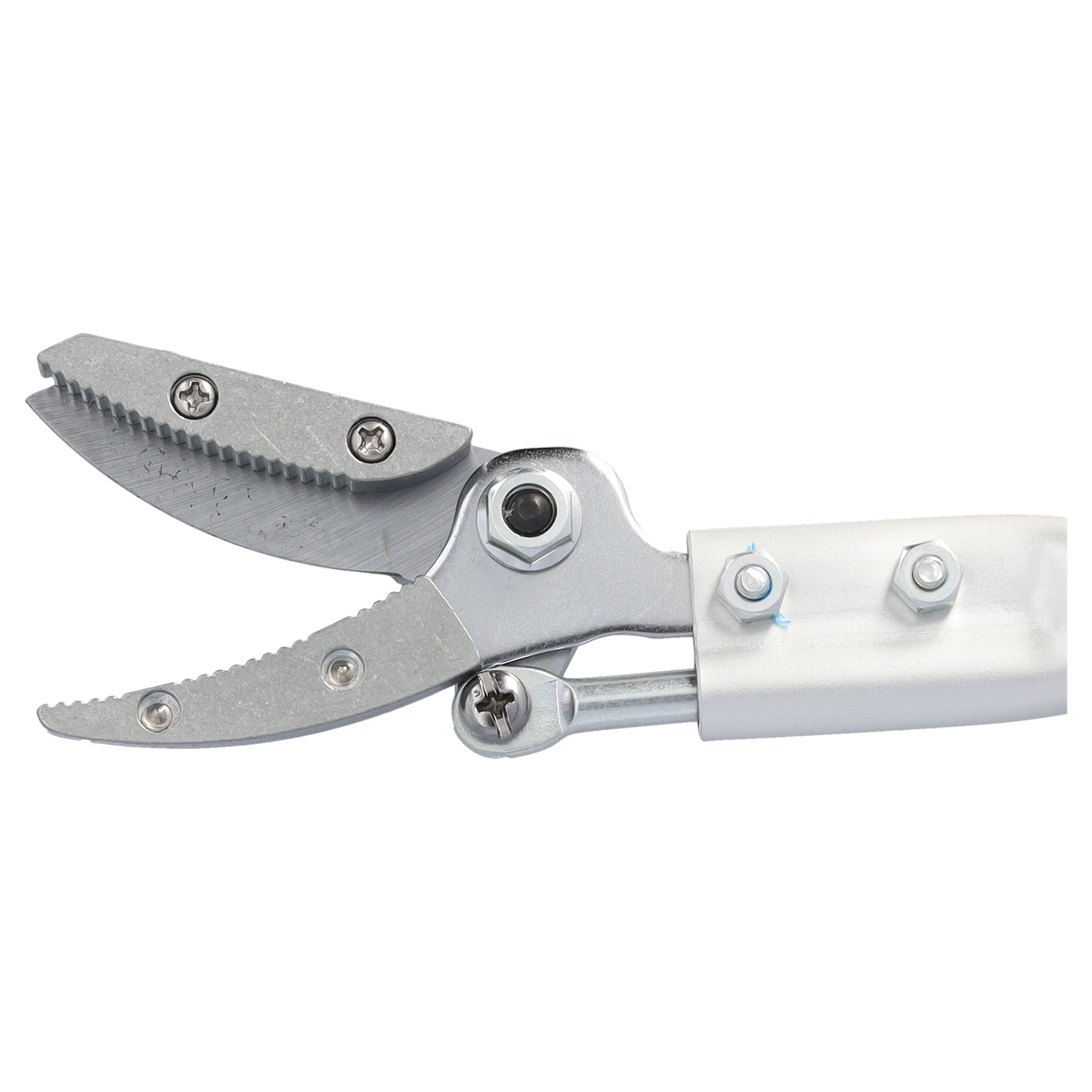 ARS Rosen-Präsentierschere 160R-0.35 | zum schneiden von Rosen und dornhaltige Gewächsen | Länge 35cm | superscharfe Schermesser plus  Greifer