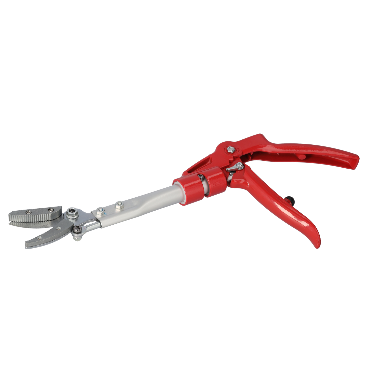 ARS Rosen-Präsentierschere 160R-0.35 | zum schneiden von Rosen und dornhaltige Gewächsen | Länge 35cm | superscharfe Schermesser plus  Greifer