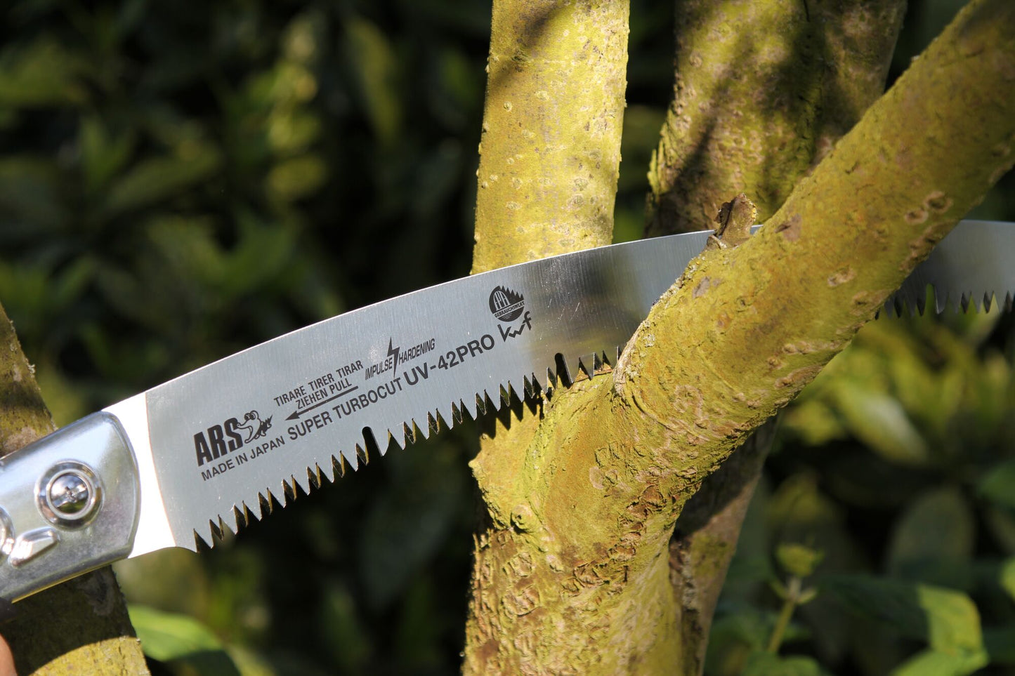 ARS-Handsäge UV-42PRO Zahnweite 4,5mm, 42 cm gebogenes Blatt mit Köcher"