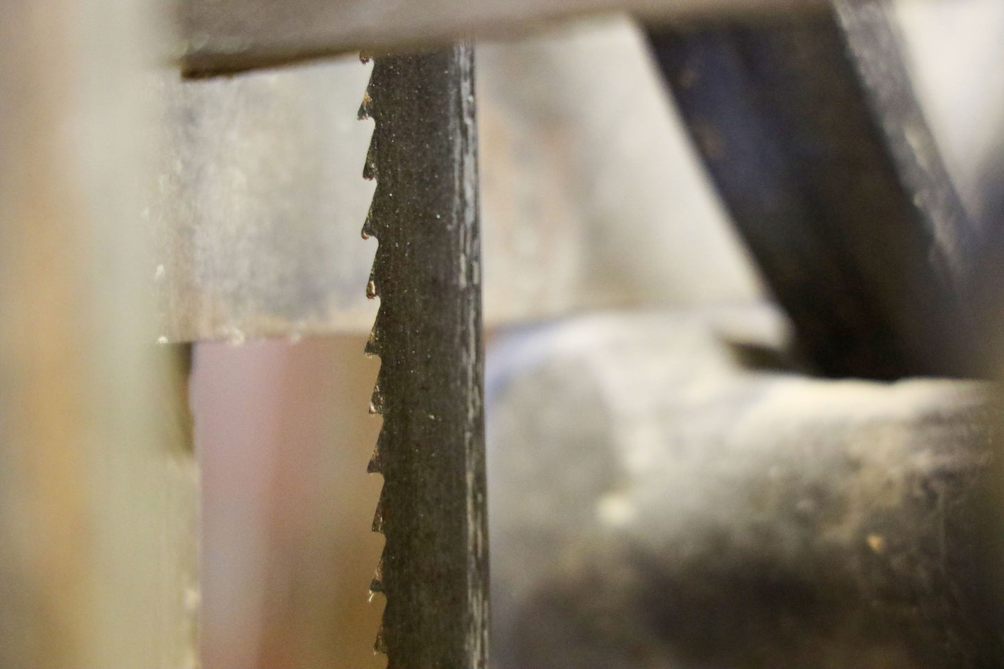 Bandsägeblatt Sägefertig | 4680 x 10 x 0,6 mm Z6 | Geeignet für alle Holzarten | geschränkt & geschärft | Gute Standzeit, hohe Laufruhe, nachschärfbar | Made in Germany