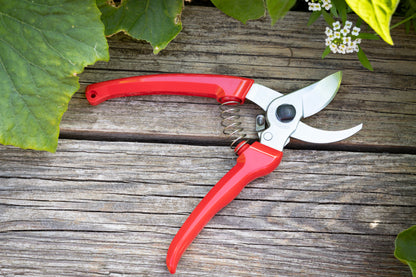 Cut360 Kleine Gartenschere, zarte Rosenschere für Zweigdurchmesser bis Ø 19 mm, Kleine Gartenschere perfekt ausbalanciert