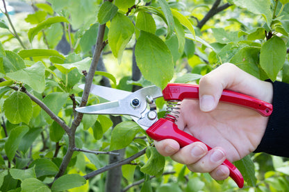 Cut360 Kleine Gartenschere, zarte Rosenschere für Zweigdurchmesser bis Ø 12 mm, Kleine Gartenschere, Ikebana, perfekt ausbalanciert