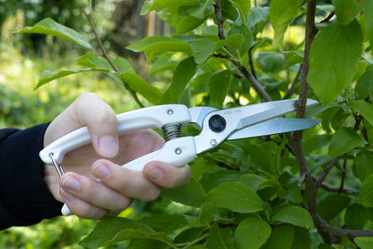 Cut360 weiße Universalschere für den Garten sowie für Plastik, Leder, Vinyl, Kabel und Gummi, Kleine Gartenschere, perfekt ausbalanciert