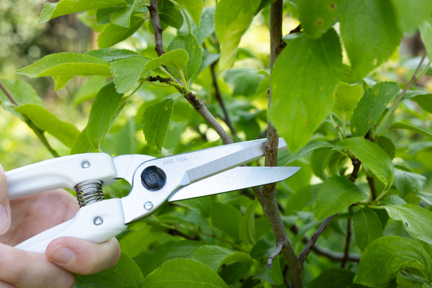 Cut360 weiße Universalschere für den Garten sowie für Plastik, Leder, Vinyl, Kabel und Gummi, Kleine Gartenschere, perfekt ausbalanciert