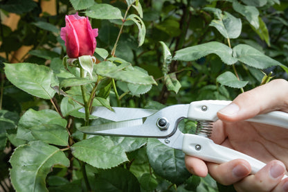 Cut360 weiße Universalschere für den Garten sowie für Plastik, Leder, Vinyl, Kabel und Gummi, Kleine Gartenschere, perfekt ausbalanciert