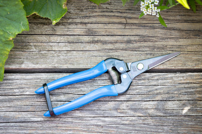 Cut360 Ernteschere, filigrane Obstschere, Gartenschere mit spitzer Klinge, Minischere geeignet als Bonsaischere