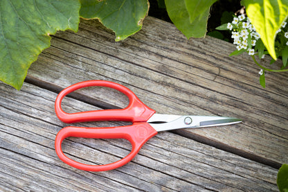 ARS Haushaltschere 330H | ideal für Schneidarbeiten in Heim, Beruf und Hobby | Gewicht: 60 g | Länge: 16 cm | ermüdungsfreies Arbeiten