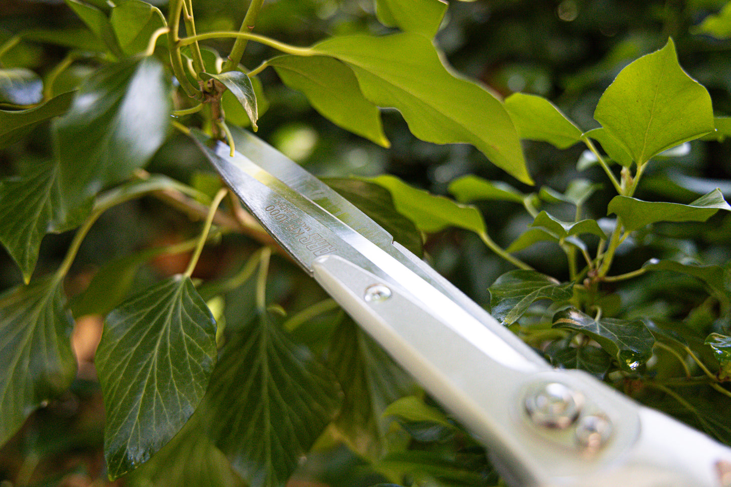 ARS Heckenschere, Weinlaubschere 750 mm mit 180 mm Klingenlänge, 840 g, manuelle Handheckenschere zum präzisen Schneiden von Geäst