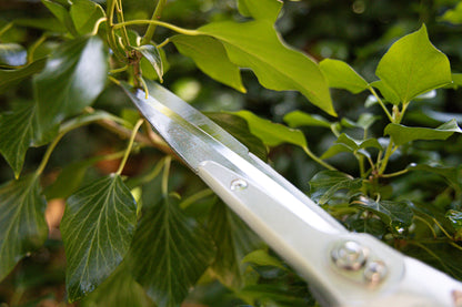 ARS Heckenschere, Weinlaubschere 750 mm mit 180 mm Klingenlänge, 840 g, manuelle Handheckenschere zum präzisen Schneiden von Geäst