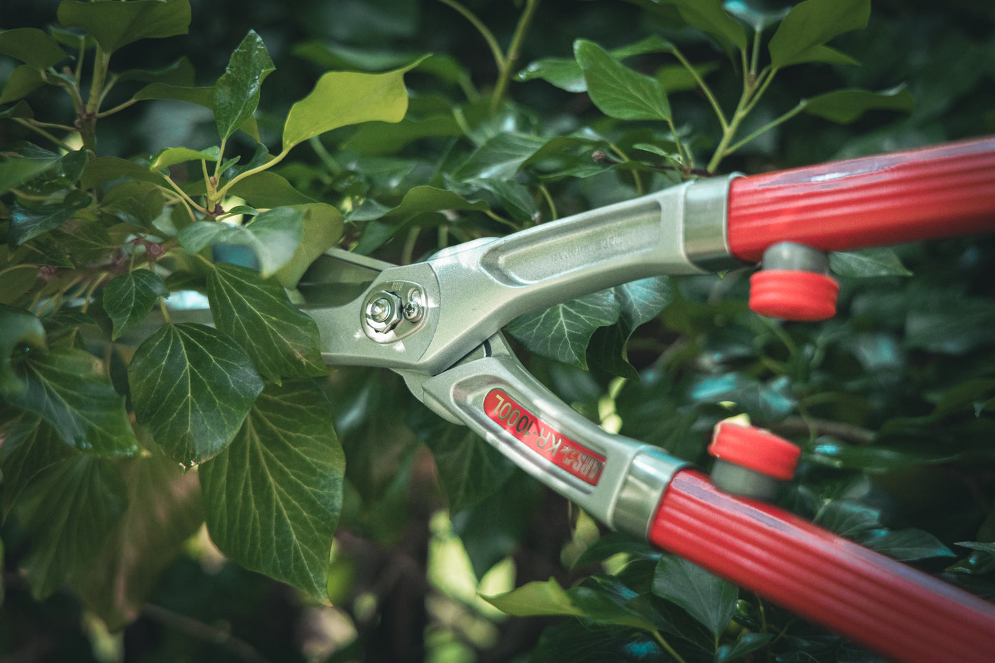 ARS-Heckenschere KR-1000 rot, 65 cm geb. Griffe, 780 g, Blattlänge 18 cm | Buxus | Hecken | Weinlaubschere | zum schneiden von Sträucher und Hecken