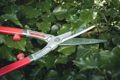 ARS-Heckenschere KR-1000 rot, 65 cm geb. Griffe, 780 g, Blattlänge 18 cm | Buxus | Hecken | Weinlaubschere | zum schneiden von Sträucher und Hecken
