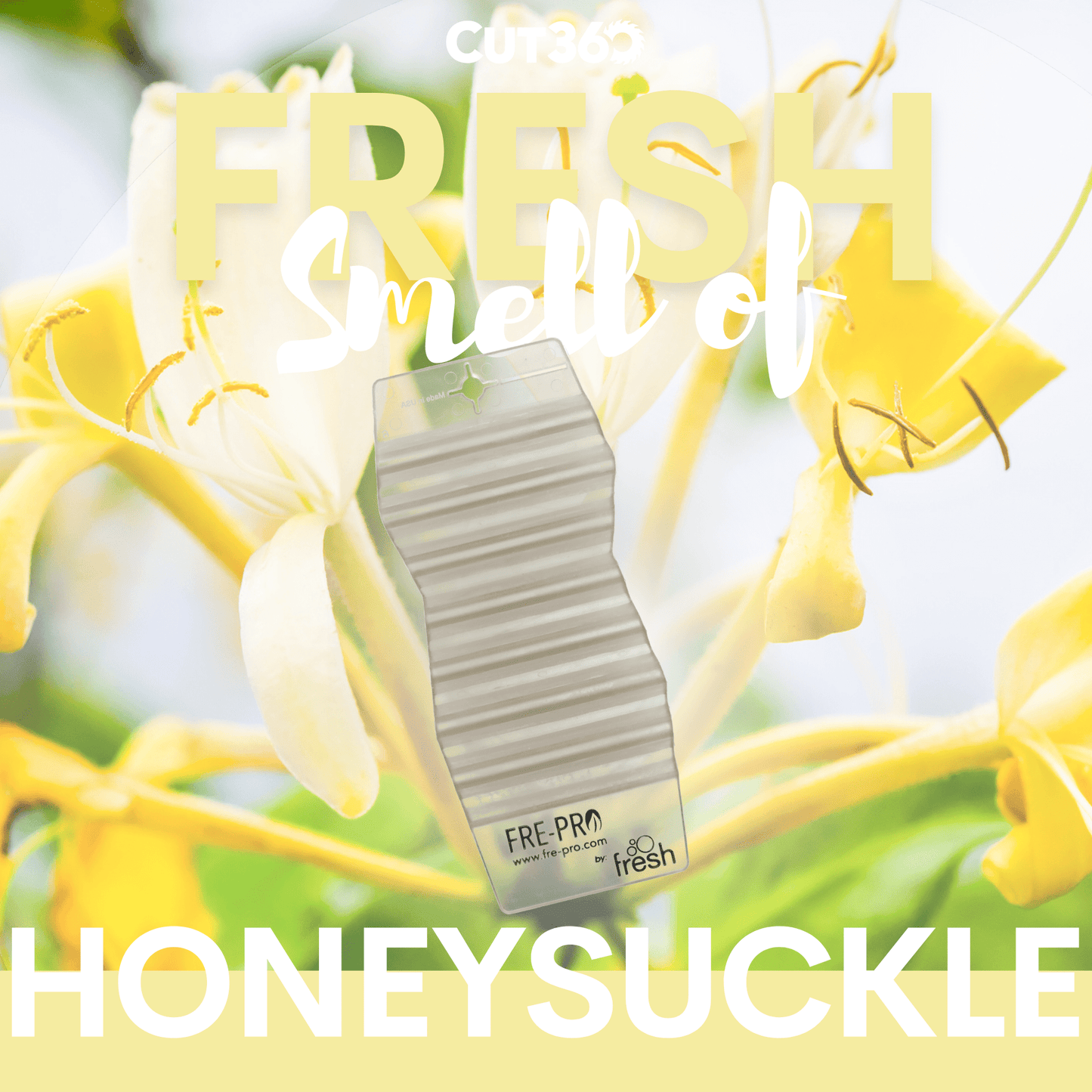 Cut360 Fresh Hang Tag Raumduft, 12 Stk, nachhaltiger und langanhaltender Lufterfrischer Honeysuckle praktischer und intensiver Raumerfrischer