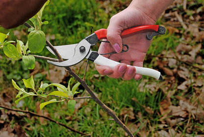 Silky Okatsune Top Gartenpflegesatz – Gartenschere Okatsune 103 & Klappsäge Silky Super Accel, 210 mm, 7,5 Zähne pro Zoll, inkl. Gürteltasche – Japanische Präzision für Gartenpflege