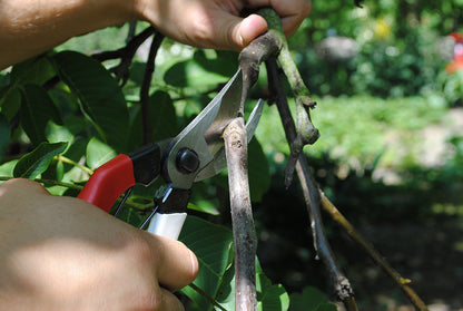 Silky Okatsune Top Gartenpflegesatz – Gartenschere Okatsune 103 & Klappsäge Silky Super Accel, 210 mm, 7,5 Zähne pro Zoll, inkl. Gürteltasche – Japanische Präzision für Gartenpflege