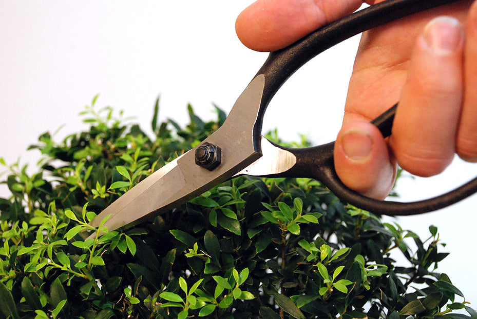 OKATSUNE Bonsai-Schere 201 | traditionelle Bonsai Basami mit Gummistopfen | 210 mm gesamt, 55 mm spitze Dünnklinge | präziser Formschnitt für Bonsai, Buchs & Kiefer
