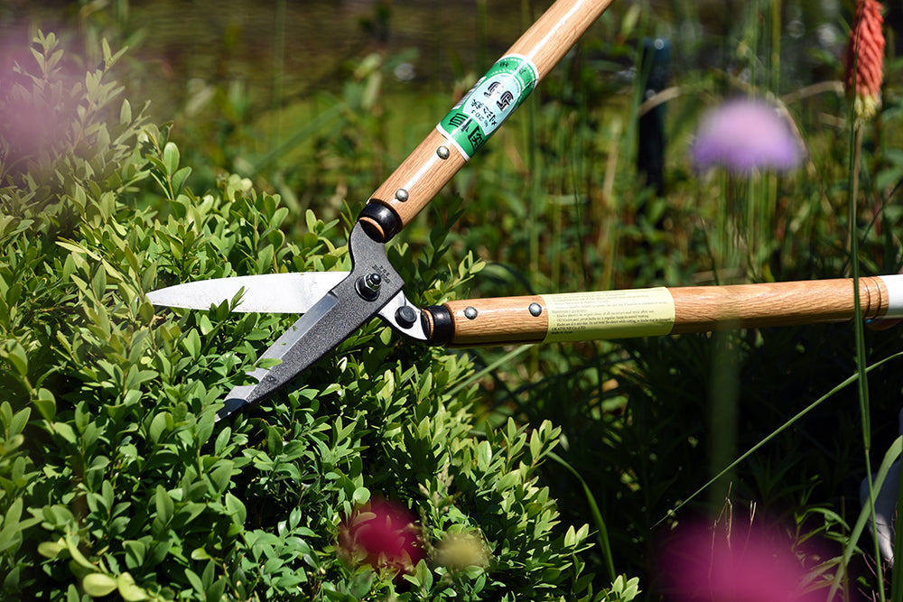 OKATSUNE 204 Karikomi-Heckenschere | Mittlere japanische Heckenschere mit 145 mm Klinge, 45 cm Holzgriffen, ultraleicht, extrem scharf für Formschnitt an Hecken & Sträuchern